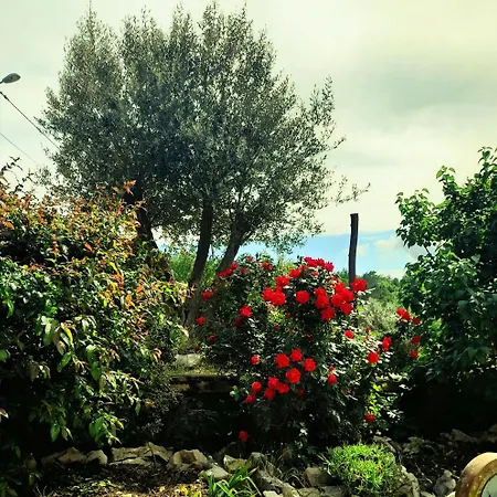 House Lana Apartment Krsan